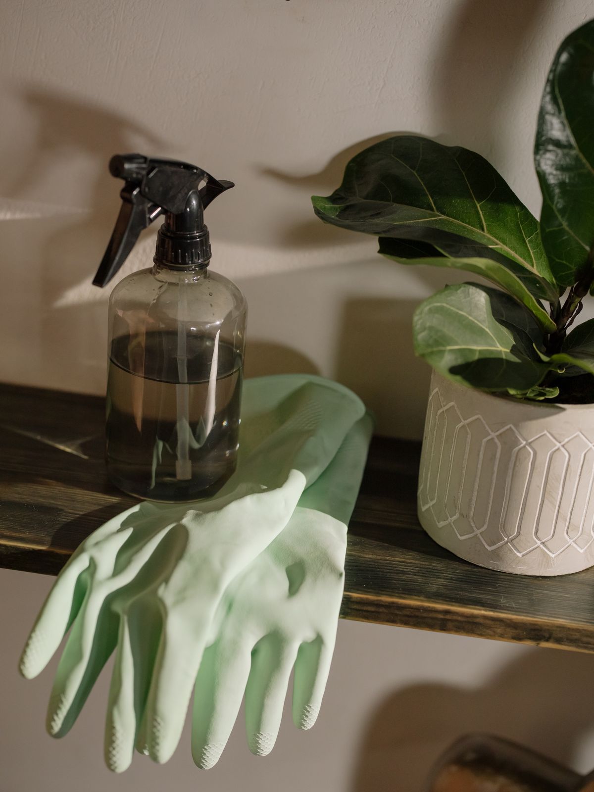 Vaporisateur et gants de ménage posés sur une étagère